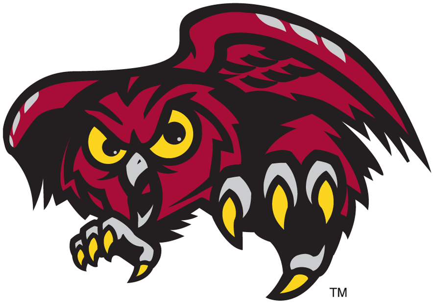 Temple Owls 1996-Pres Alternate Logo v3 iron on transfers for T-shirts...